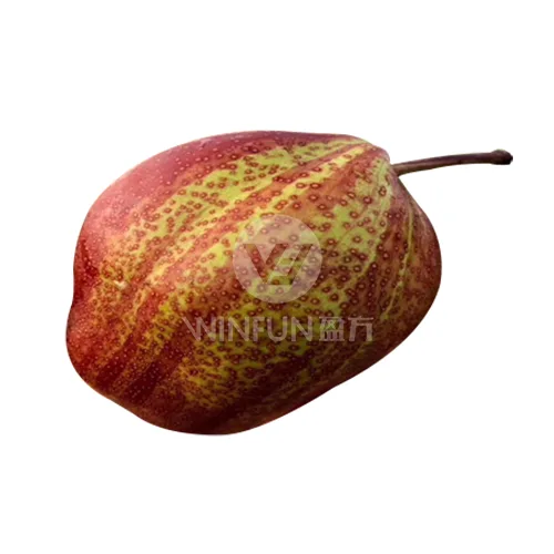 Rainbow Pear